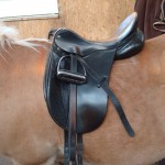 Stall Rustorp - sadelutprovning