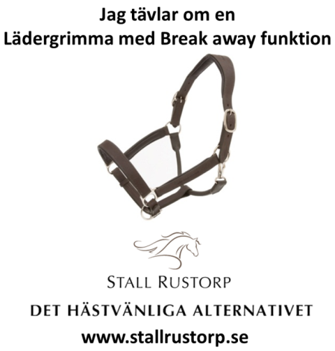 Stall Rustorp - Tävling 2 Stall Rustorp - Tävling 2